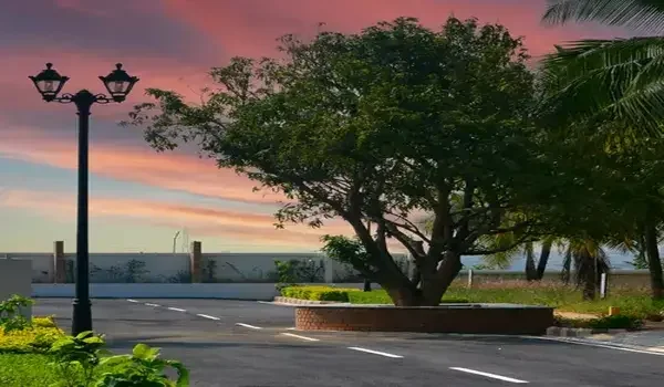Things to Check Before Buying a Residential Plot in Bangalore Featured Image of Things to Check Before Buying a Residential Plot in Bangalore